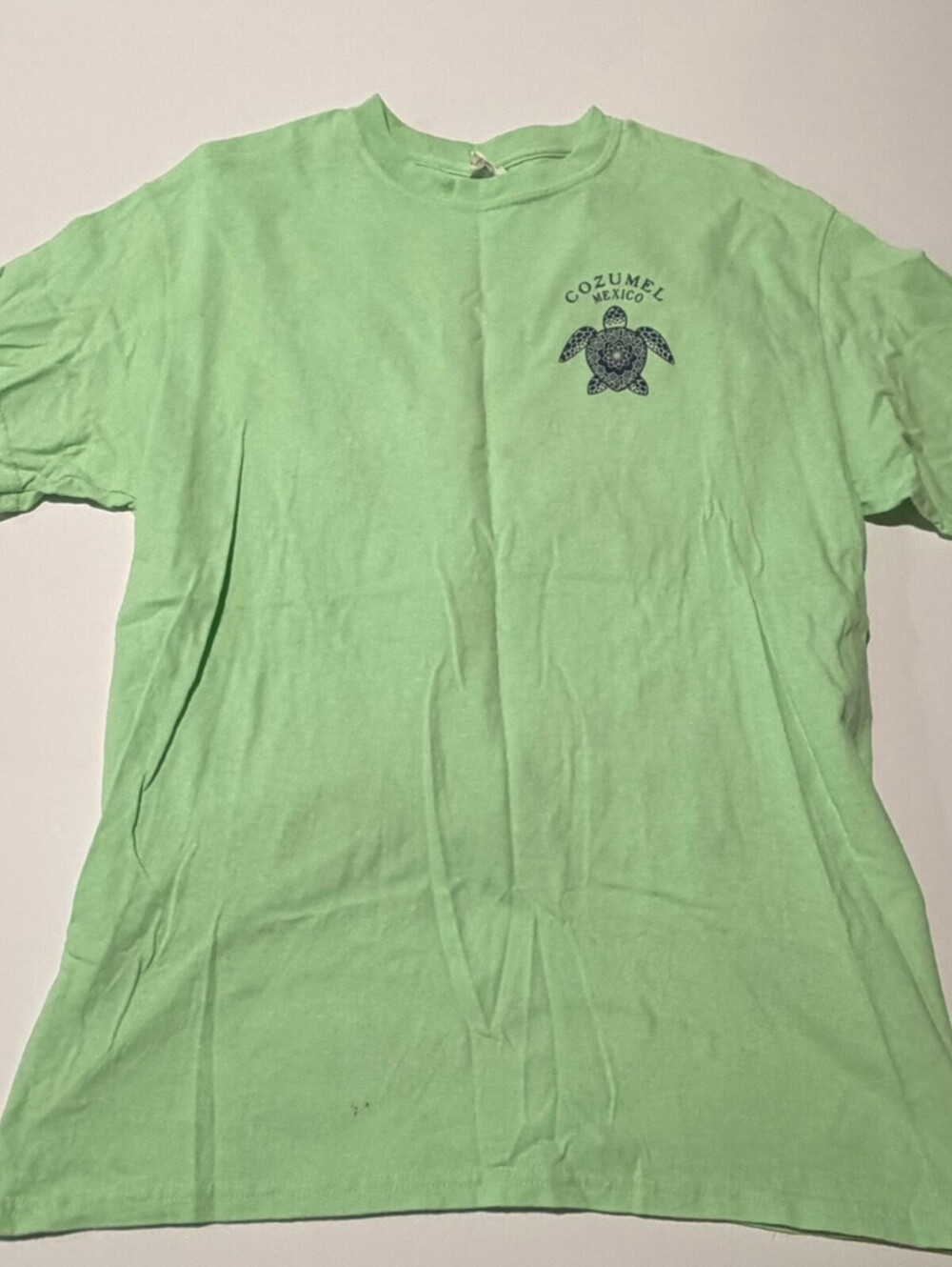 Gildan Heavy Cotton light green Cozumel Mexico turtle t-shirt